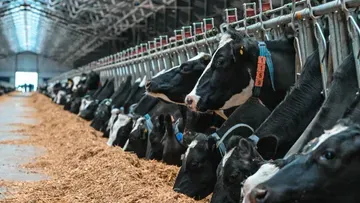 АГРОСИЛА инвестирует 375,4 млн рублей в систему цифрового управления стадом и современное оборудование